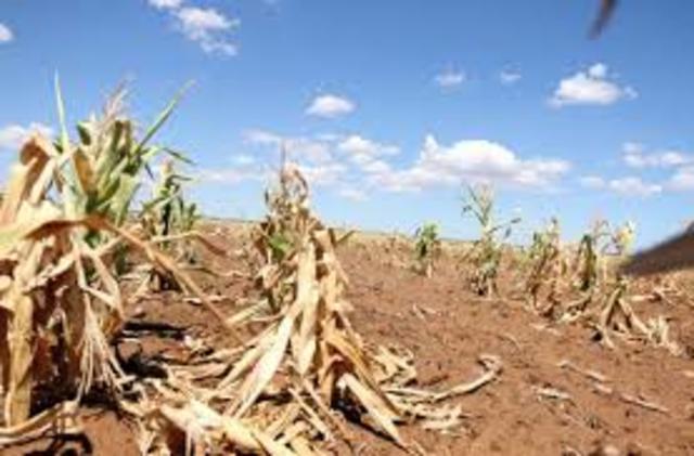 145.5 million loan to improve water systems and decrease drought