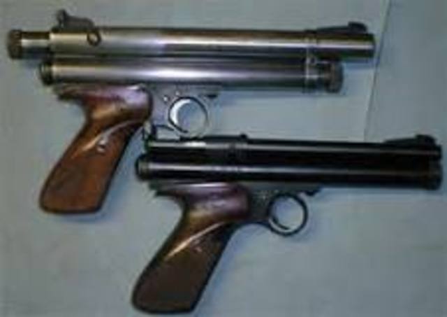 The first paintball gun