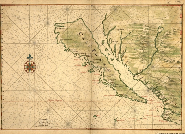 Coronado is rewarded