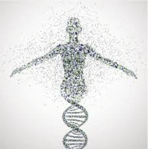 Human Genome