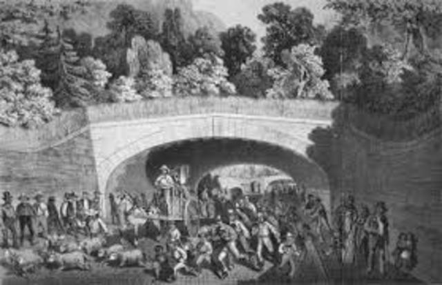 Nature :Creation of Parks