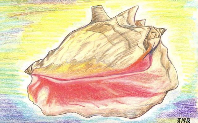 Chapter 1 - The Sound of the Shell