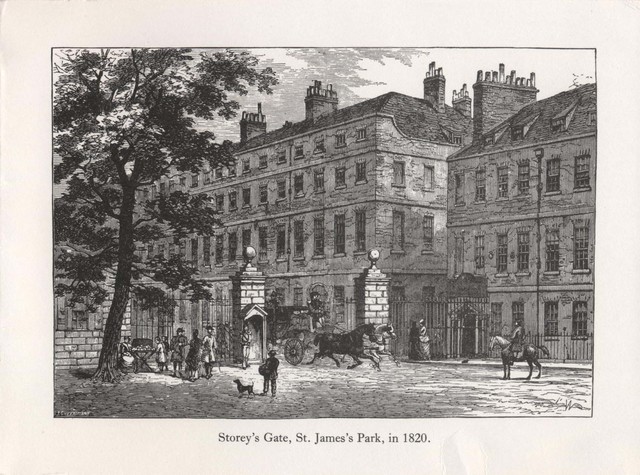 Nature / Creation of Parks