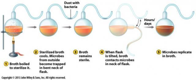 Louis Pasteur refute spontaneous generation
