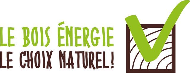 GT Club Biomasse résidentielle - 26 avril 2017