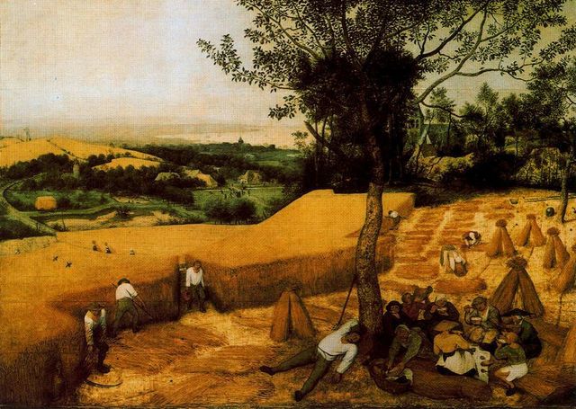 La cosecha del trigo