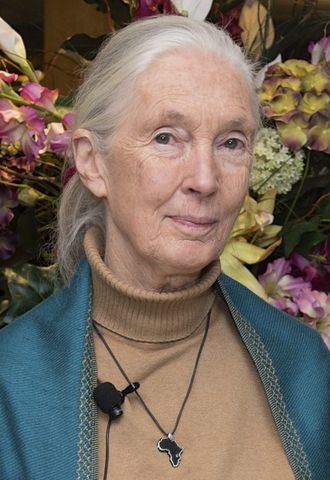 DAME JANE MORRIS GOODALL