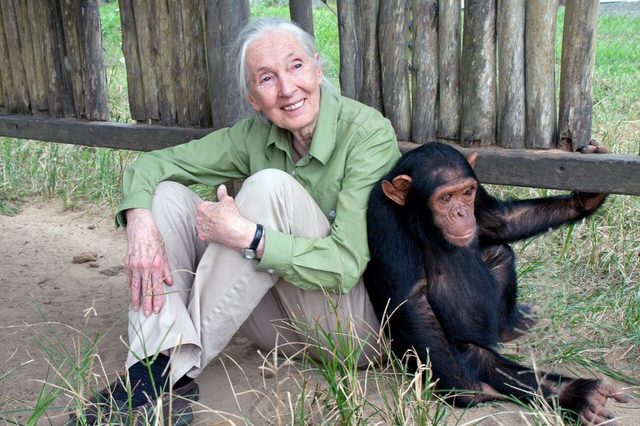 Dame Jane Morris Goodall