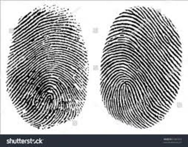 The Discovery of Fingerprints