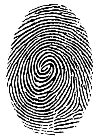 Fingerprint Identification