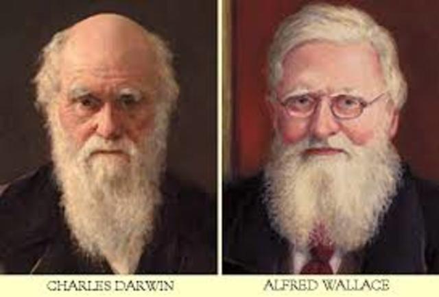 Darwin (1809-1882) y Wallace (1823- 1913). La selección natural.