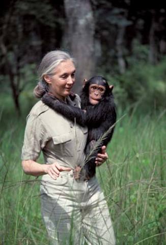 Lo que nos separa de los simios (Jane Goodall)