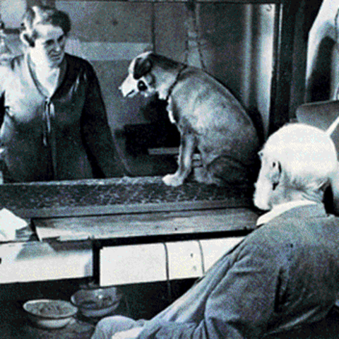 PERÍODO PRETYLERIANO. 3ra. ÉPOCA: DE LA EFICIENCIA Y LOS TESTS