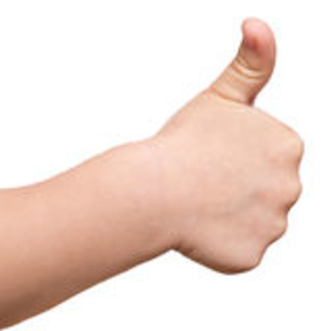 Early Childhood - Cognitive Development