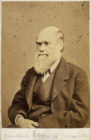 Darwin