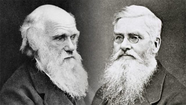 Darwin y Wallace. La Selección natural.