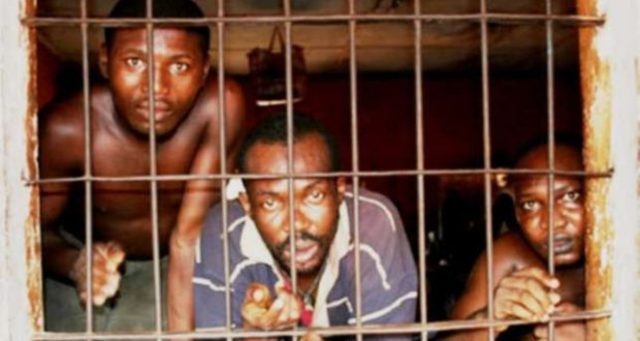 New Democratic Constitution