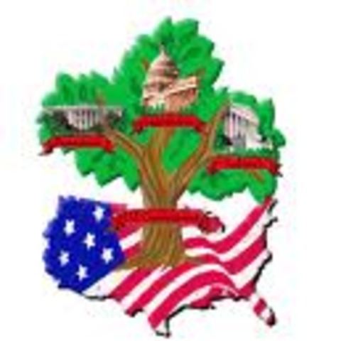 3 Branches (1787-2010)