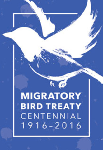 The Migratory Bird Treaty Act