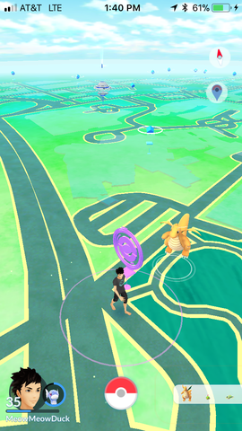 Adulthood; Physical Development