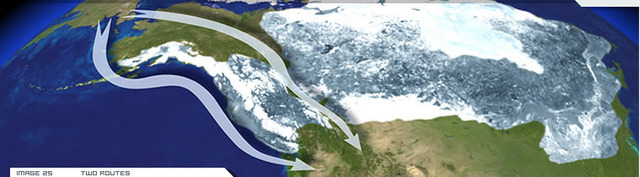 The Bering  land bridge