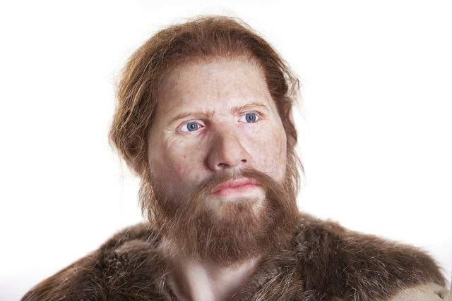 Homo Sapiens-Sapiens.