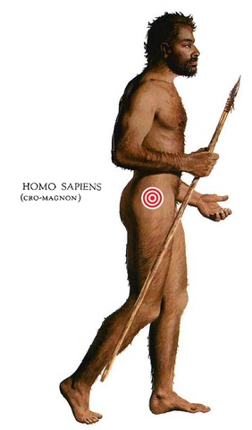 homo sapiens