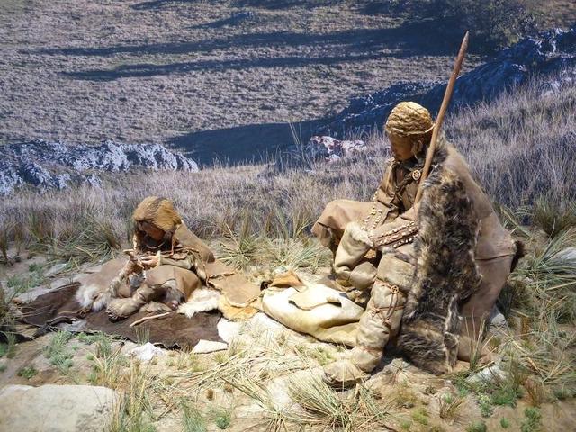 homo sapiens sapiens