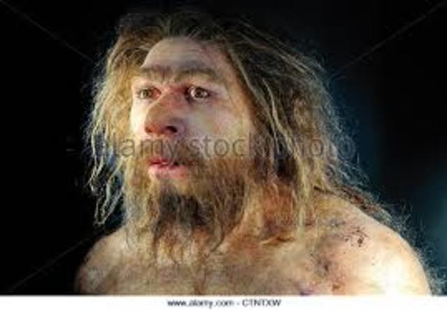 Neanderthalensis