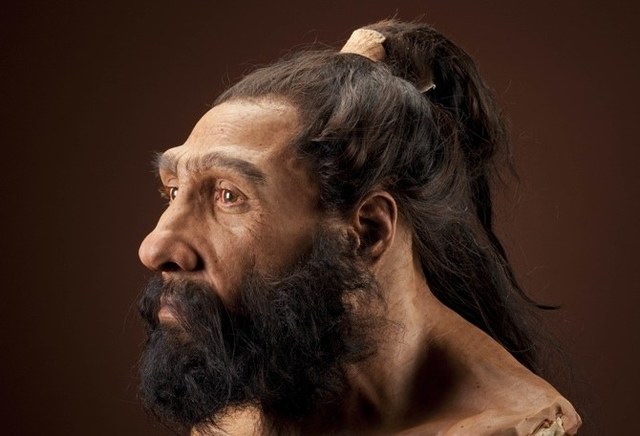 HOMO NEADENTHALENSIS