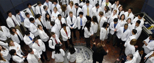 Professional Schools