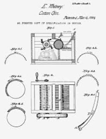 Eli Whitney Patented the Cotton Gin