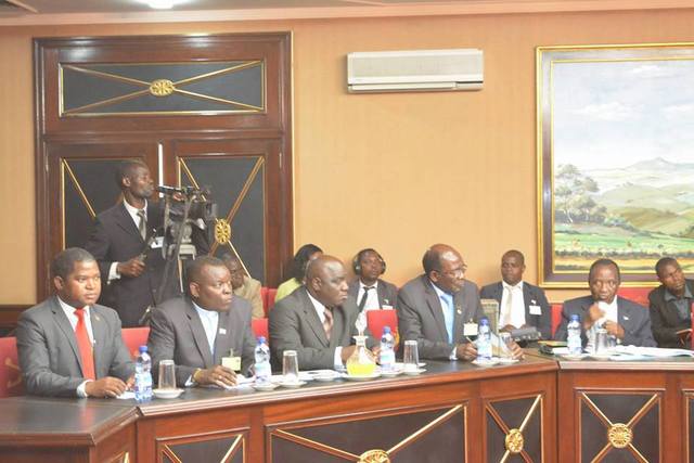 The assembly adopts provisional constitution.