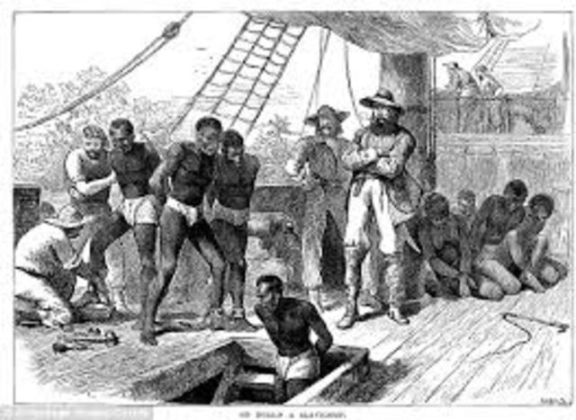 Slavery in The Colonies