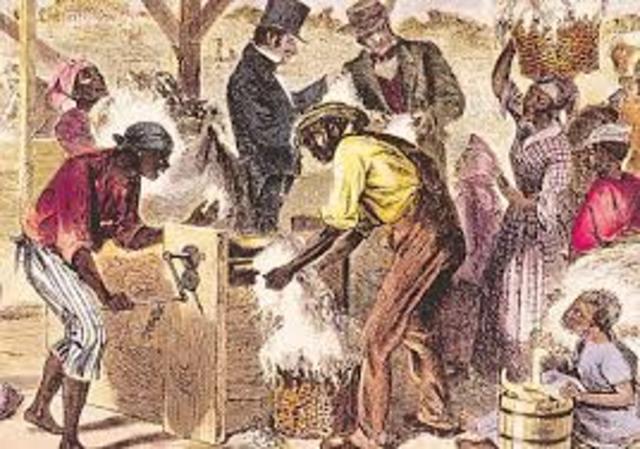 The Cotton Gin