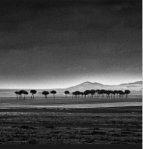 Paisajes Negros