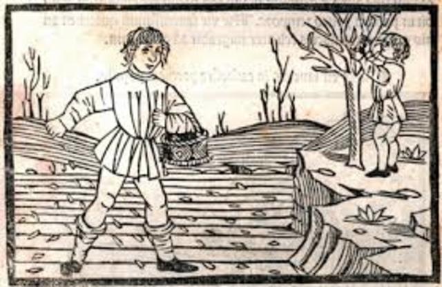 Problemas y Reformas agrarias.