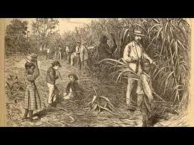 End of the Brazilian Revolution