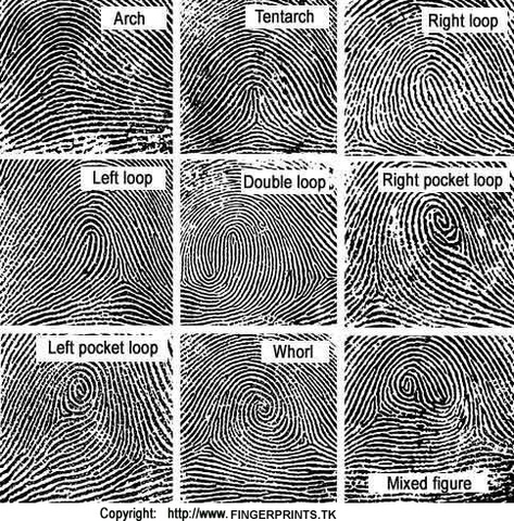 The 9 Different Kinds of Thumbprints