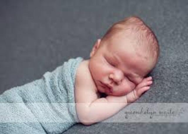 My Little Brother Was Born