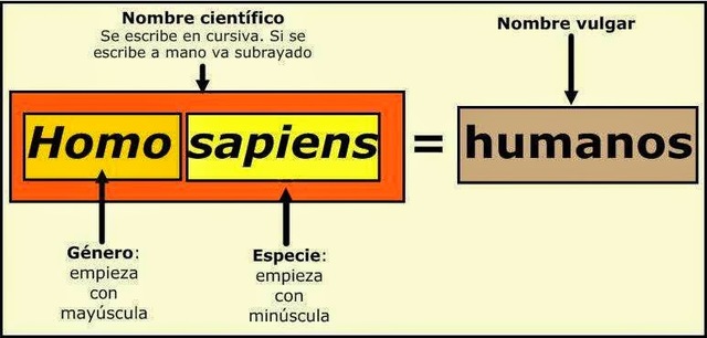 Sistema de nomenclatura binomial
