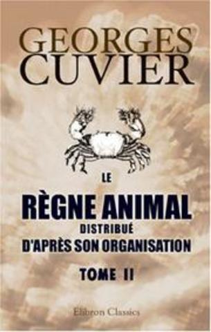 La clasificación de los animales