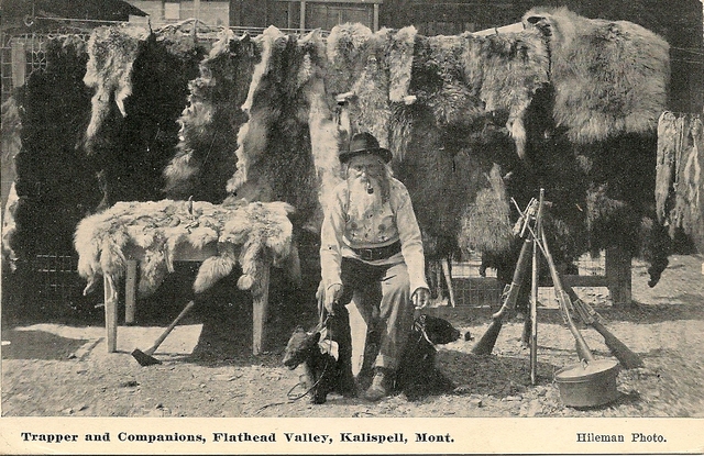 Western Frontier: Trappers