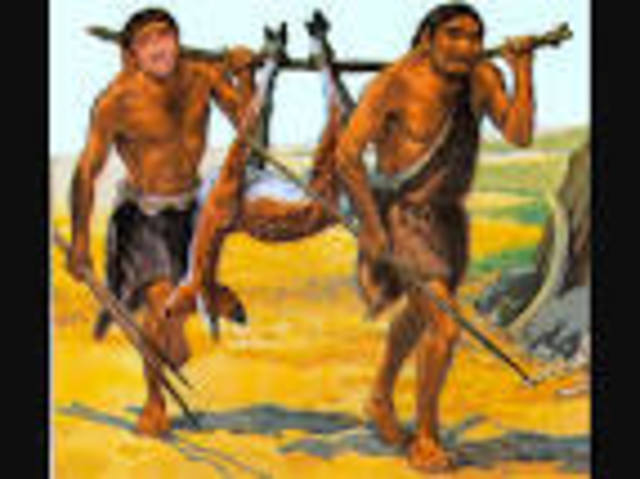 HOMO SAPIENS SAPIENS (CROMAGNON)