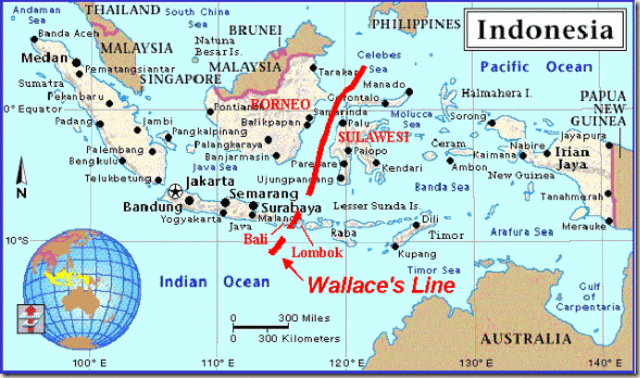 “El archipiélago malayo”