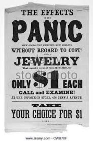 The Panic of 1873