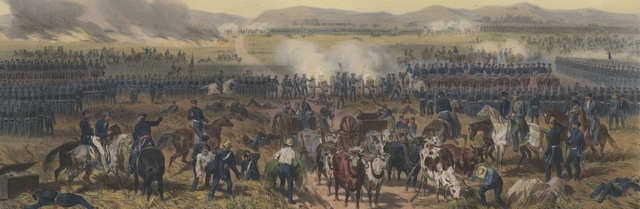 battle of palo alto