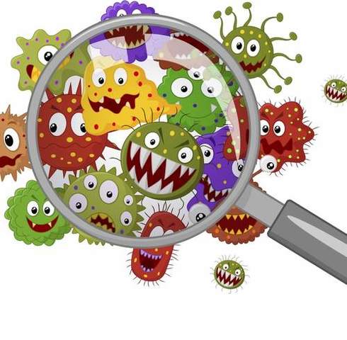 Germ theory