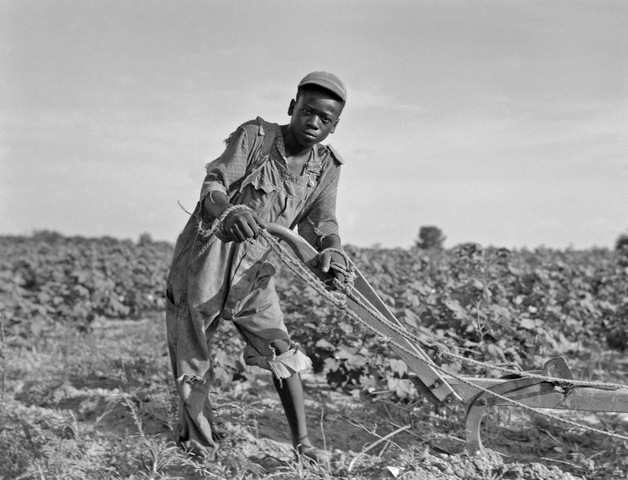 Sharecroppers