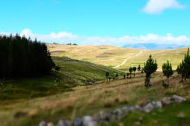 Gringo - Green Hills We Go